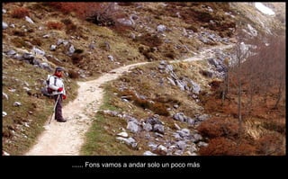 ...... Fons vamos a andar solo un poco más 