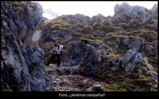 Fons, ¡¡tenemos compañía!! 