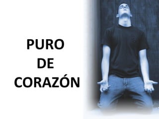 PURO
  DE
CORAZÓN
 