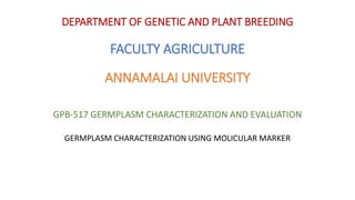 DEPARTMENT OF GENETIC AND PLANT BREEDING
FACULTY AGRICULTURE
ANNAMALAI UNIVERSITY
GPB-517 GERMPLASM CHARACTERIZATION AND EVALUATION
GERMPLASM CHARACTERIZATION USING MOLICULAR MARKER
 