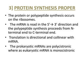 3] PROTEIN SYNTHESIS PROPER
• The protein or polypeptide synthesis occurs
on the ribosomes.
• The mRNA is read in the 5’→ 3’ direction and
the polypeptide synthesis proceeds from N-
terminal end to C-terminal end.
• Translation is directional and collinear with
mRNA.
• The prokaryotic mRNAs are polycistronic
where as eukaryotic mRNA is monocistronic
 