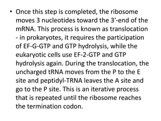 • Once this step is completed, the ribosome
moves 3 nucleotides toward the 3'-end of the
mRNA. This process is known as translocation
- in prokaryotes, it requires the participation
of EF-G-GTP and GTP hydrolysis, while the
eukaryotic cells use EF-2-GTP and GTP
hydrolysis again. During the translocation, the
uncharged tRNA moves from the P to the E
site and peptidyl-TRNA leaves the A site and
go to the P site. This is an iterative process
that is repeated until the ribosome reaches
the termination codon.
 