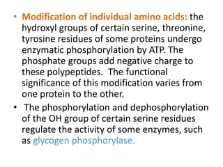 • Modification of individual amino acids: the
hydroxyl groups of certain serine, threonine,
tyrosine residues of some proteins undergo
enzymatic phosphorylation by ATP. The
phosphate groups add negative charge to
these polypeptides. The functional
significance of this modification varies from
one protein to the other.
• The phosphorylation and dephosphorylation
of the OH group of certain serine residues
regulate the activity of some enzymes, such
as glycogen phosphorylase.
 