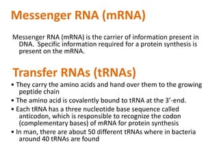 Messenger RNA (mRNA)
Messenger RNA (mRNA) is the carrier of information present in
DNA. Specific information required for a protein synthesis is
present on the mRNA.
Transfer RNAs (tRNAs)
• They carry the amino acids and hand over them to the growing
peptide chain
• The amino acid is covalently bound to tRNA at the 3’-end.
• Each tRNA has a three nucleotide base sequence called
anticodon, which is responsible to recognize the codon
(complementary bases) of mRNA for protein synthesis
• In man, there are about 50 different tRNAs where in bacteria
around 40 tRNAs are found
 