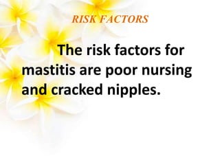 RISK FACTORS
The risk factors for
mastitis are poor nursing
and cracked nipples.
 
