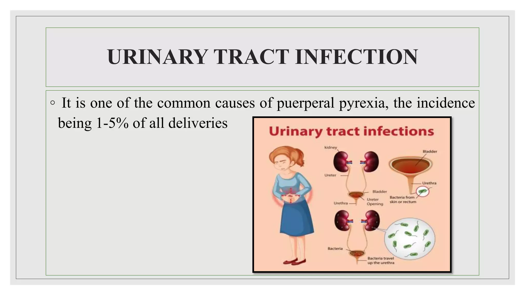 URINARY TRACT INFECTION
◦ It is one of the common causes of puerperal pyrexia, the incidence
being 1-5% of all deliveries
 