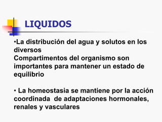 LIQUIDOS
•La distribución del agua y solutos en los
diversos
Compartimentos del organismo son
importantes para mantener un estado de
equilibrio
• La homeostasia se mantiene por la acción
coordinada de adaptaciones hormonales,
renales y vasculares
 