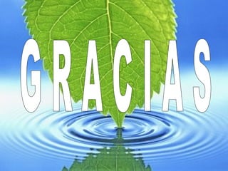 G R A C I A S 