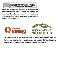 Nuestros planes contemplan el mantenernos constantemente actualizados en todos los aspectos de calidad, como lo demuestra el que somos la primera planta de rotativas que cuenta con ISO 14000. El compromiso del Grupo con el medioambiente nos ha llevado a apoyar la reforestación de  áreas deforestadas  a través de la Asociación Reforestamos México, A.C. 