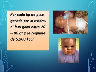 Por cada kg de peso
ganado por la madre,
el feto gana entre 20
– 80 gr y se requiere
de 6.000 kcal
 
