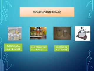 ALMACENAMIENTO DE LA LM
CONGELADA
6 A 12 MESES
EN EL FRIGIDER 72
HORAS
AMBIENTE 12
A 24 HORAS
 