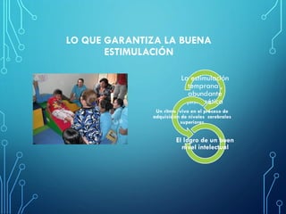 LO QUE GARANTIZA LA BUENA
ESTIMULACIÓN
La estimulación
temprana ,
abundante
,sistemática
Un ritmo vivo en el proceso de
adquisición de niveles cerebrales
superiores
El logro de un buen
nivel intelectual
 