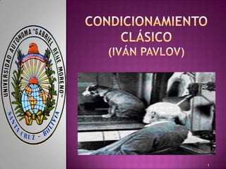 Condicionamiento clásico(Iván pavlov)  1 