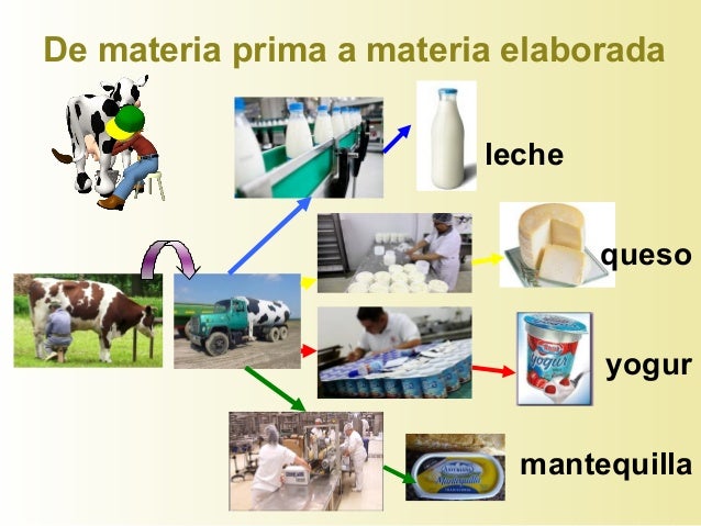 2º B DE PRIMARIA Sociales. Tema 2