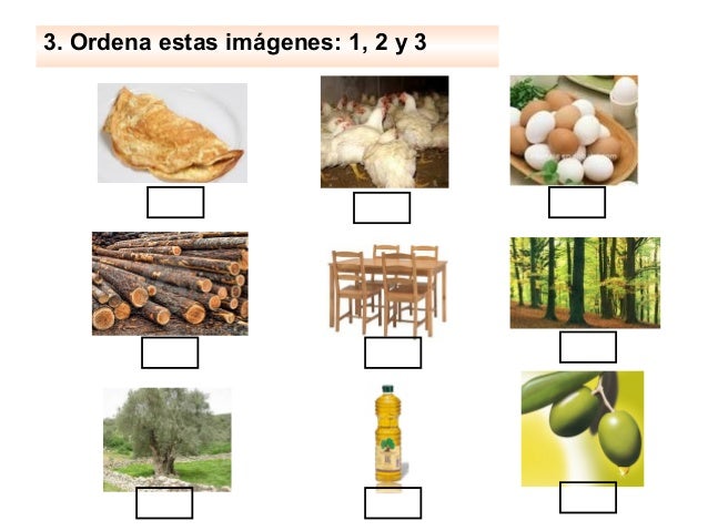 Materias Primas Y Productos Elaborados Para Niños