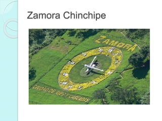 Zamora Chinchipe
 
