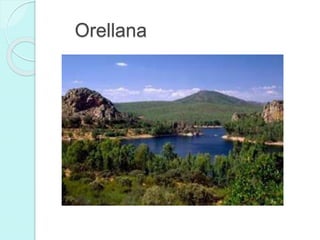 Orellana
 