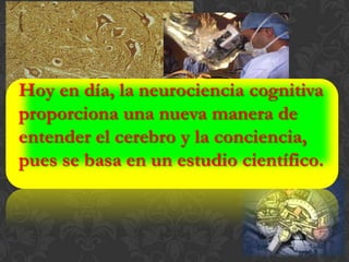 Hoy en día, la neurociencia cognitiva
proporciona una nueva manera de
entender el cerebro y la conciencia,
pues se basa en un estudio científico.
 