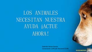 LOS ANIMALES
NECESITAN NUESTRA
AYUDA ¡ACTUE
AHORA!
Gabriela Henao Bustos
Corporación unificada Nacional (CUN)
 
