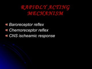 RAPIDLY ACTING MECHANISM Baroreceptor reflex Chemoreceptor reflex CNS ischeamic response 
