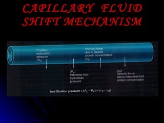 CAPILLARY  FLUID SHIFT MECHANISM 