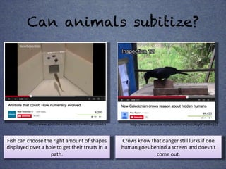 Subitizing Fish Can you subitize? | PDF