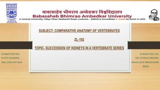 SUBJECT- COMPARATIVE ANATOMY OF VERTEBRATES
ZL-102
TOPIC- SUCCESSION OF KIDNEYS IN A VERTEBRATE SERIES
SUBMITTED BY: SUBMITTED TO:
NITIN SHARMA DR. SUMAN MISHRA
MSC.ZOO IST SEM ASSOCIATE PROFESSOR
BBAU
 