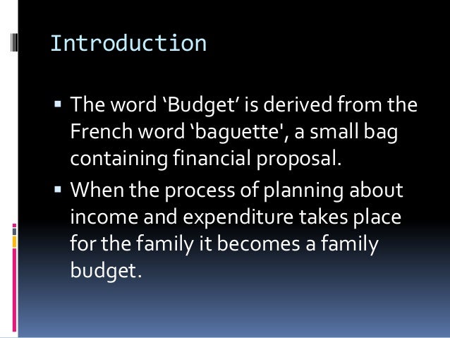family budget project