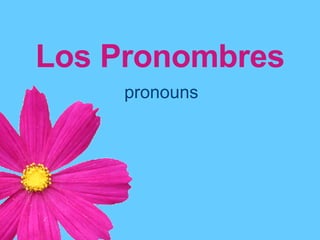 Los Pronombres pronouns 