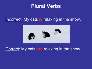 Plural Verbs Incorrect : My cats  is  relaxing in the snow. Correct : My cats  are  relaxing in the snow. 