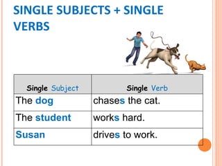 SINGLE SUBJECTS + SINGLE
VERBS



  Single Subject          Single Verb
The dog            chases the cat.
The student        works hard.
Susan              drives to work.
 