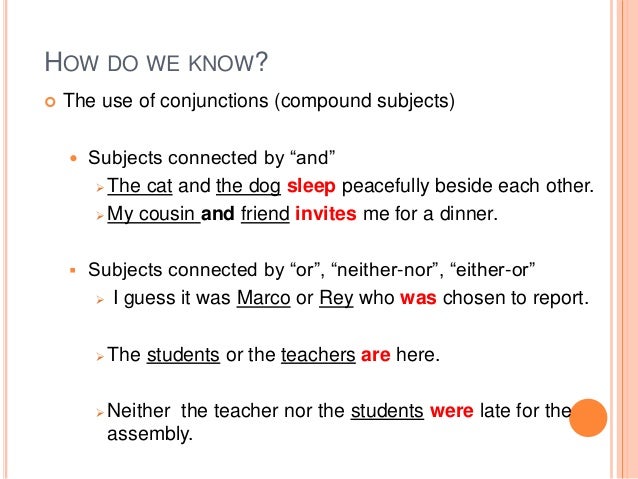 Subject verb agreement