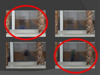 Subject 2 - Contact Sheets