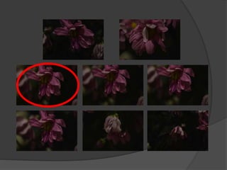 Subject 9 - Contact Sheets