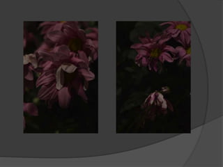 Subject 9 - Contact Sheets