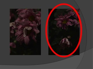 Subject 9 - Contact Sheets