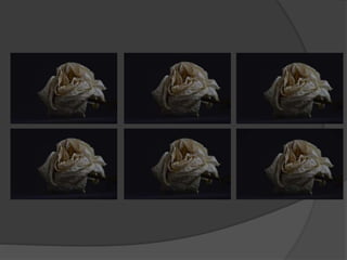 Subject 9 - Contact Sheets