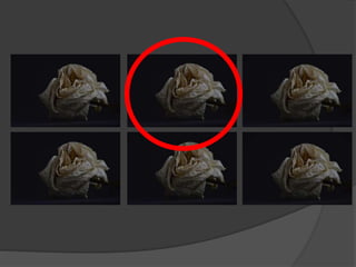 Subject 9 - Contact Sheets