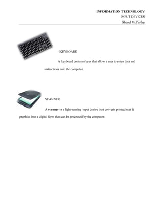 Input Devices | PDF