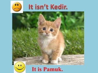 It is Pamuk.
 