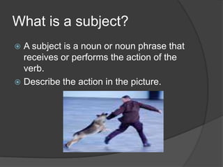 What is a subject?
A subject is a noun or noun phrase that
receives or performs the action of the
verb.
Describe the action in the picture.