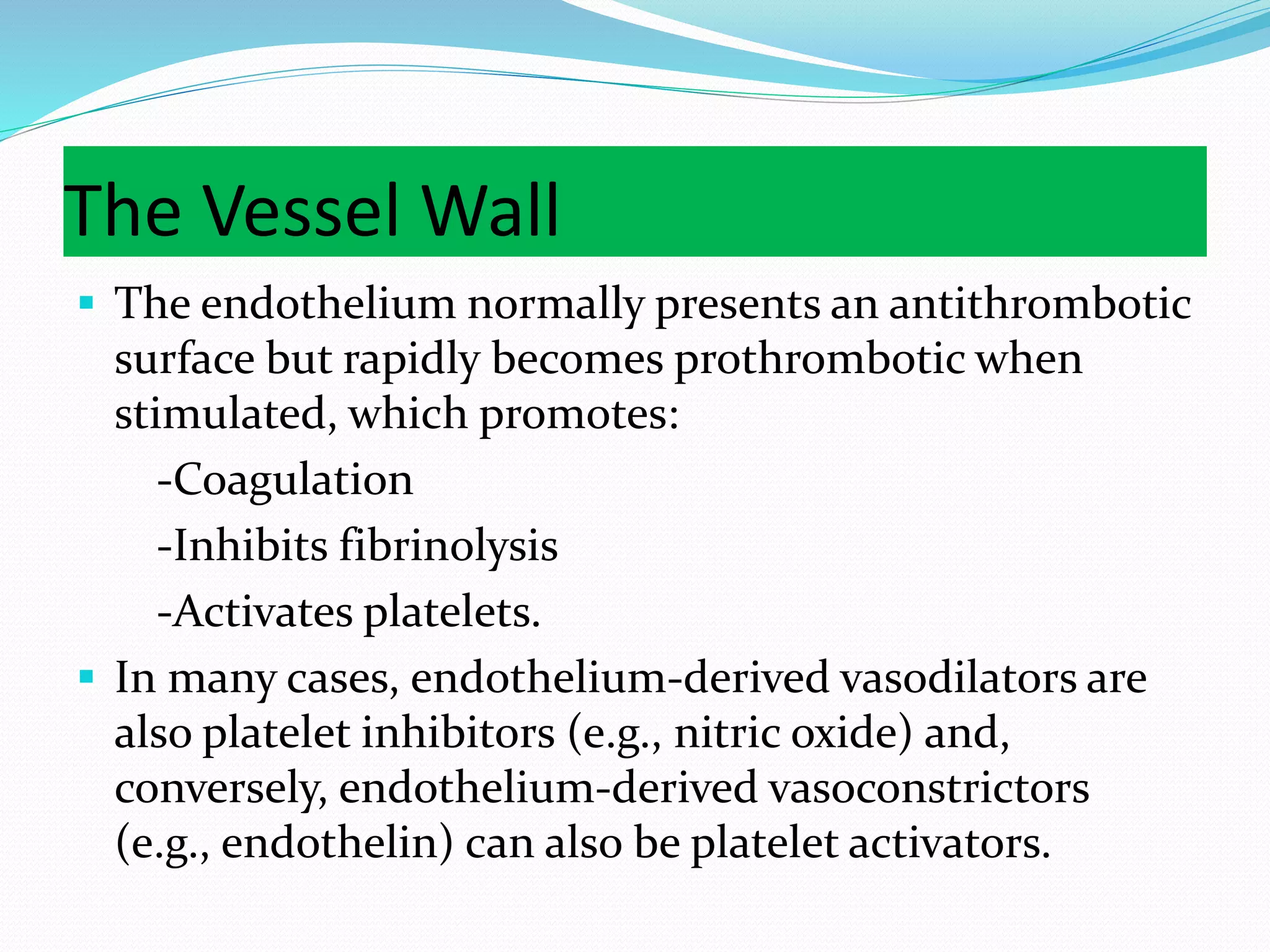The Vessel Wall
 The endothelium normally presents an antithrombotic
surface but rapidly becomes prothrombotic when
stimulated, which promotes:
-Coagulation
-Inhibits fibrinolysis
-Activates platelets.
 In many cases, endothelium-derived vasodilators are
also platelet inhibitors (e.g., nitric oxide) and,
conversely, endothelium-derived vasoconstrictors
(e.g., endothelin) can also be platelet activators.
 