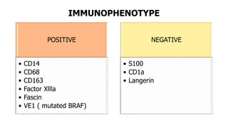 IMMUNOPHENOTYPE
POSITIVE
• CD14
• CD68
• CD163
• Factor Xllla
• Fascin
• VE1 ( mutated BRAF)
NEGATIVE
• S100
• CD1a
• Langerin
 