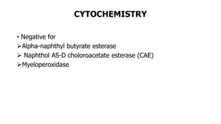 CYTOCHEMISTRY
• Negative for
Alpha-naphthyl butyrate esterase
 Naphthol AS-D choloroacetate esterase (CAE)
Myeloperoxidase
 