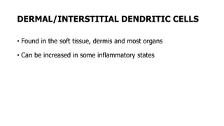 DERMAL/INTERSTITIAL DENDRITIC CELLS
• Found in the soft tissue, dermis and most organs
• Can be increased in some inflammatory states
 