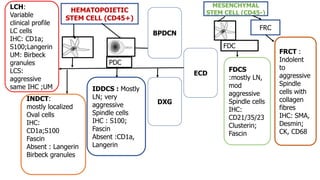 HEMATOPOIETIC
STEM CELL (CD45+)
MESENCHYMAL
STEM CELL (CD45-)
PDC
FDC
FRC
BPDCN
FRCT :
Indolent
to
aggressive
Spindle
cells with
collagen
fibres
IHC: SMA,
Desmin;
CK, CD68
LCH:
Variable
clinical profile
LC cells
IHC: CD1a;
S100;Langerin
UM: Birbeck
granules
LCS:
aggressive
same IHC ;UM
ECD
DXG
FDCS
:mostly LN,
mod
aggressive
Spindle cells
IHC:
CD21/35/23
Clusterin;
Fascin
IDDCS : Mostly
LN; very
aggressive
Spindle cells
IHC : S100;
Fascin
Absent :CD1a,
Langerin
INDCT:
mostly localized
Oval cells
IHC:
CD1a;S100
Fascin
Absent : Langerin
Birbeck granules
–]-
 