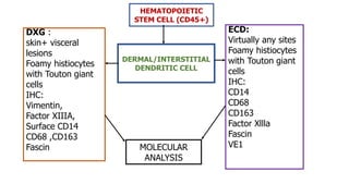 HEMATOPOIETIC
STEM CELL (CD45+)
DERMAL/INTERSTITIAL
DENDRITIC CELL
DXG :
skin+ visceral
lesions
Foamy histiocytes
with Touton giant
cells
IHC:
Vimentin,
Factor XIIIA,
Surface CD14
CD68 ,CD163
Fascin
ECD:
Virtually any sites
Foamy histiocytes
with Touton giant
cells
IHC:
CD14
CD68
CD163
Factor Xllla
Fascin
VE1MOLECULAR
ANALYSIS
 