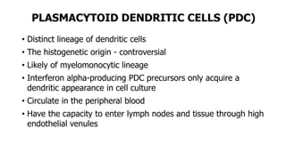 PLASMACYTOID DENDRITIC CELLS (PDC)
• Distinct lineage of dendritic cells
• The histogenetic origin - controversial
• Likely of myelomonocytic lineage
• Interferon alpha-producing PDC precursors only acquire a
dendritic appearance in cell culture
• Circulate in the peripheral blood
• Have the capacity to enter lymph nodes and tissue through high
endothelial venules
 