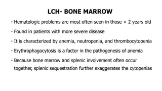 LCH- BONE MARROW
• Hematologic problems are most often seen in those < 2 years old
• Found in patients with more severe disease
• It is characterized by anemia, neutropenia, and thrombocytopenia
• Erythrophagocytosis is a factor in the pathogenesis of anemia
• Because bone marrow and splenic involvement often occur
together, splenic sequestration further exaggerates the cytopenias
 
