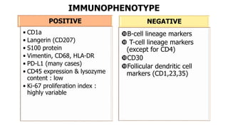 IMMUNOPHENOTYPE
POSITIVE
• CD1a
• Langerin (CD207)
• S100 protein
• Vimentin, CD68, HLA-DR
• PD-L1 (many cases)
• CD45 expression & lysozyme
content : low
• Ki-67 proliferation index :
highly variable
NEGATIVE
B-cell lineage markers
 T-cell lineage markers
(except for CD4)
CD30
Follicular dendritic cell
markers (CD1,23,35)
 